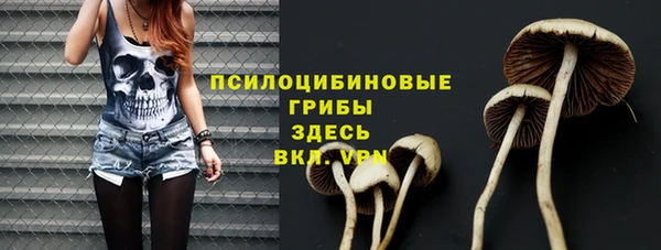 стафф Богородицк