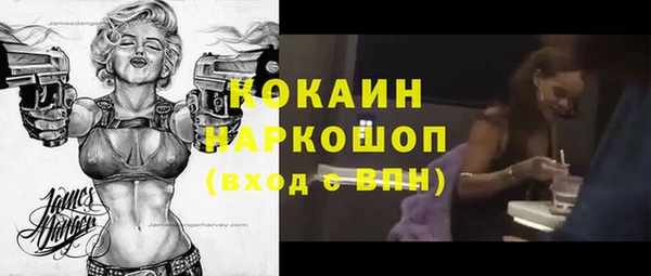 твердый Богородск