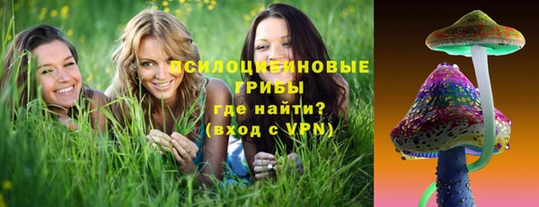 твердый Богородск