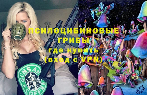 стафф Богородицк